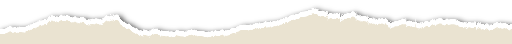 divider bottom